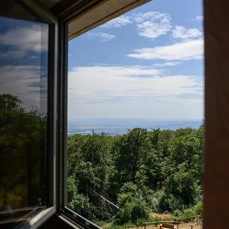 Alojamento de Acomodação e Pequeno-almoço Hallgarter Zange Oestrich-Winkel