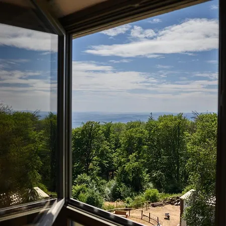 Hallgarter Zange Alojamento de Acomodação e Pequeno-almoço Oestrich-Winkel