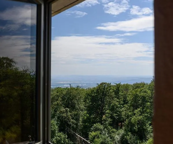 Frühstückspension Hallgarter Zange Oestrich-Winkel